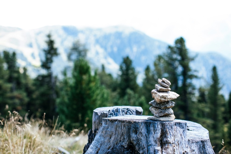 Estate Planning for Dependents with Special Needs