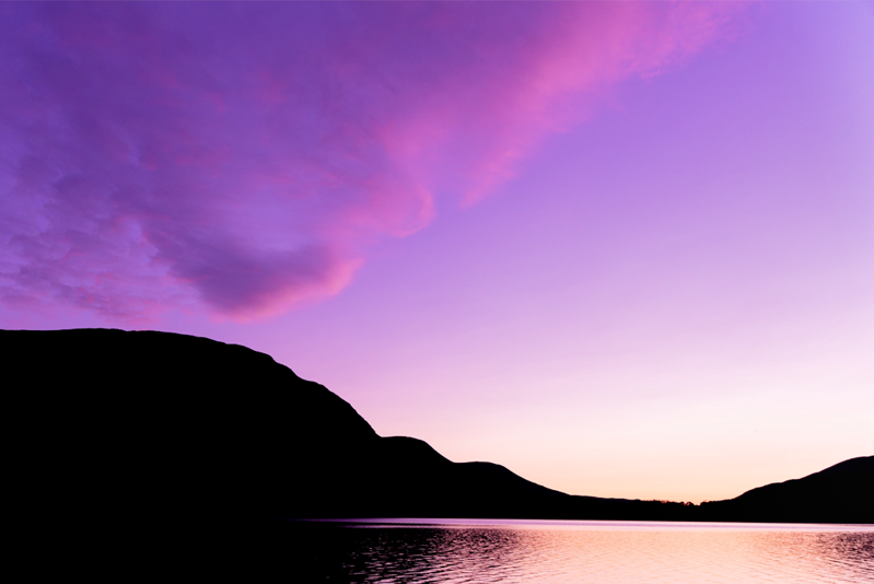 The Federal Estate Tax Sunset Post-Election: Now What?